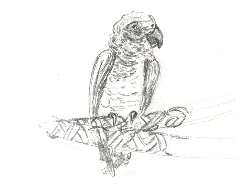 Illustration
