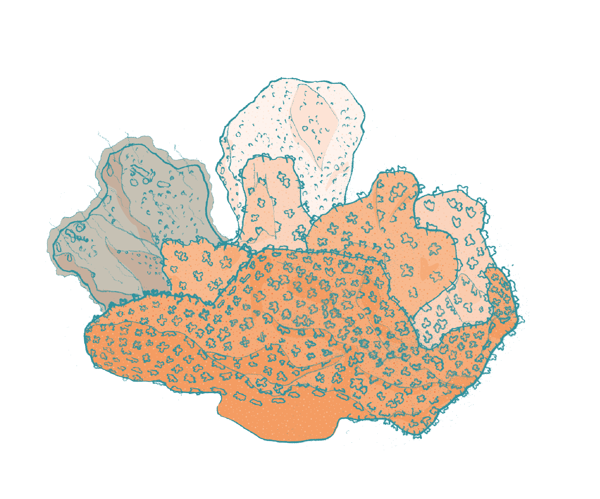 Pia Weintögl Illustration